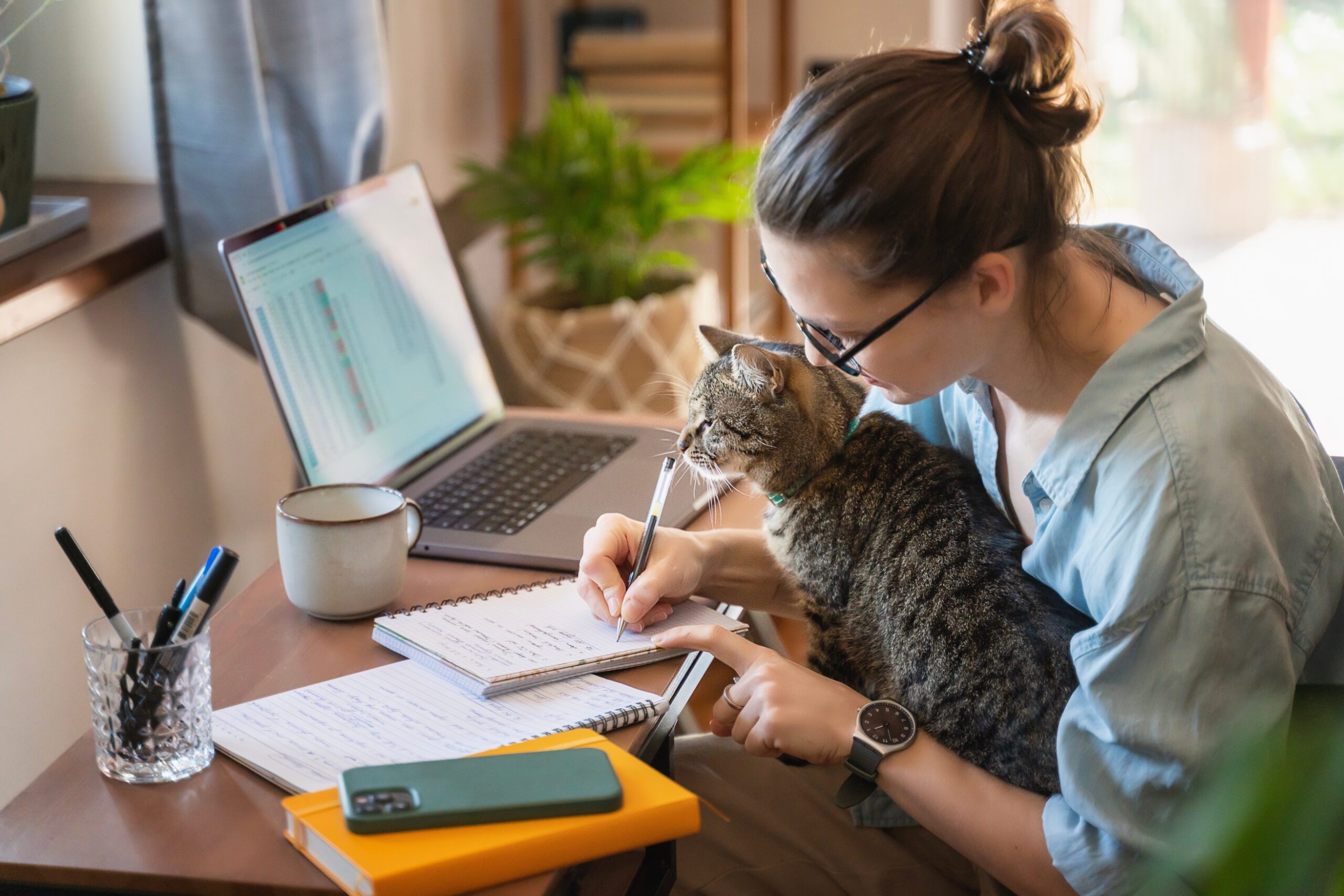 woman working at home with cat on her lap